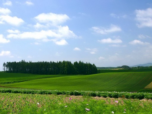 В Госдуме предложили освободить семьи с детьми от НДФЛ при продаже земли.
